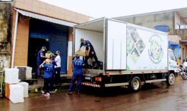 Programa Estadual de Combate ao Desperdício e à Perda de Alimentos arrecadou mais de 450 toneladas em 2022