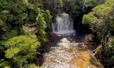Feriados em 2023: Programe sua viagem pelo Amazonas