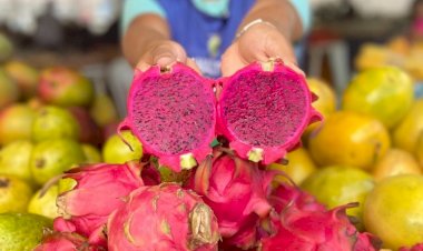Frutas exóticas produzidas no Amazonas ganham destaque nas Feiras de Produtos Regionais da ADS