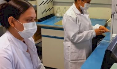 Pesquisa analisa saberes medicinais milenares para identificar novos fármacos