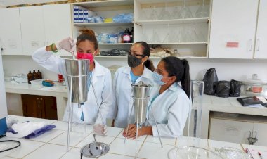 Estudo analisa potencial de novos compostos para tratamento da malária e leishmaniose