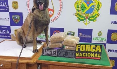 Base Arpão: agentes apreendem 11kg de skunk durante abordagem a embarcação