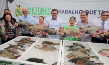 Wilson Lima anuncia doação de 300 toneladas de peixe para instituições assistenciais na Semana Santa