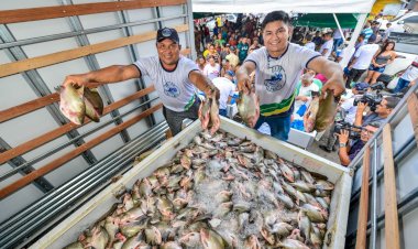 Em 100 dias, Governo do Amazonas investe mais de R$ 28 milhões no setor primário