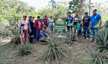 Em Tonantins, agricultores participam de Demonstração de Métodos sobre controle de pragas