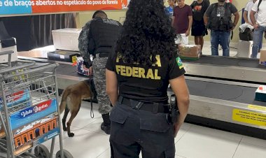 Parintins 2023: SSP-AM e Polícia Federal atuam de forma conjunta no combate ao tráfico de pessoas e abuso sexual