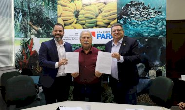 Amazonas e Pará unem forças contra a praga que ataca cacau e cupuaçu