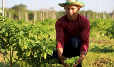 Governador Wilson Lima anuncia edital com R$ 8,5 milhões para agricultura familiar