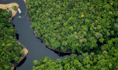 Amazonas é o melhor lugar do mundo para o ecoturismo, aponta a revista americana Forbes