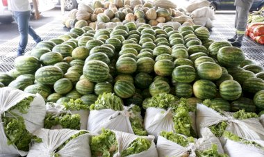 No Amazonas, inscrições para o edital do Programa de Aquisição de Alimentos encerram nesta sexta-feira