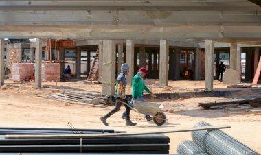 Obras do Parque Gigantes da Floresta avançam para proporcionar lazer e entretenimento à população