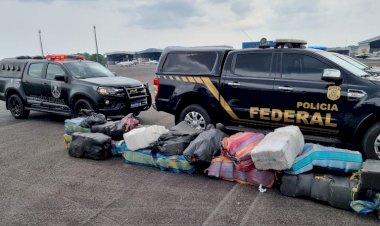 PF apreende quase duas toneladas de maconha