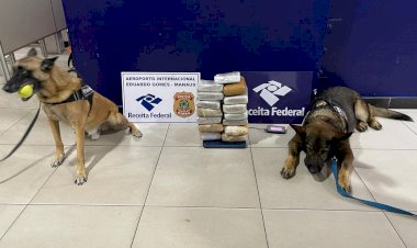 Em 2023, denúncias enviadas ao 181 resultaram na apreensão de mais de 3 toneladas de drogas e na prisão de 74 pessoas