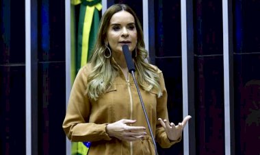 Líder da bancada feminina pede combate à violência política nas eleições 2024