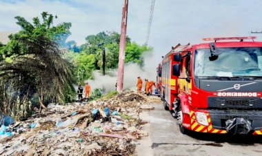 Em ação rápida, bombeiros evitam propagação de incêndio para área de mata no Distrito Industrial