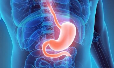 Gastrite: especialista dá dicas para prevenir e tratar a doença