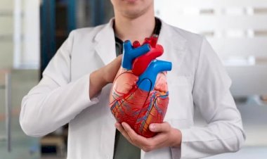 Prolapso da válvula mitral: entenda a condição cardíaca que afeta cerca de 10? população mundial