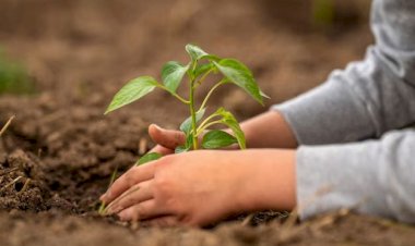 Dia da Terra: Centro Universitário promove ação ambiental em alusão a data
