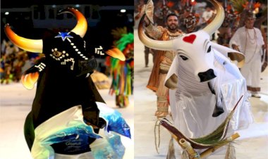 Vara do Trabalho de Parintins convoca credores em processos contra Garantido e Caprichoso