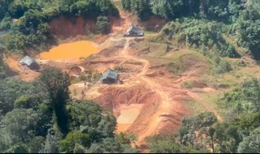 PF, ICMBio, MTE e MPT combatem garimpo ilegal e trabalho análogo à escravidão no AM