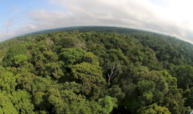 Memórias bioculturais e biodiversidades são destaques em evento nacional apoiado pelo Governo do Amazonas