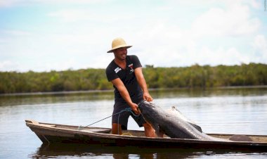 Com a liberação da pesca após o defeso, Idam reforça importância de CPP e CAF para pescador artesanal