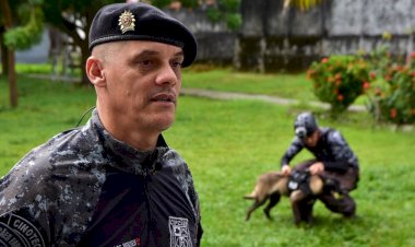 Segurança pública: Cães de policiamento auxiliam no combate ao crime organizado no Amazonas