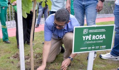 Deputado João Luiz destaca principais trabalhos desenvolvidos para sustentabilidade no Dia Mundial do Meio Ambiente