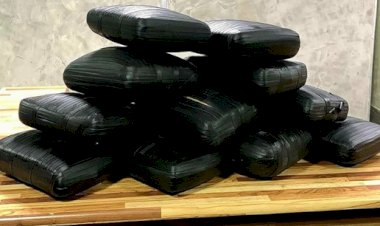 PF apreende 19 quilos de drogas no Amazonas