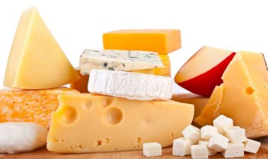 Manaus recebe curso inédito de análise sensorial de queijos