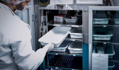 Hemoam alerta para estoque de sangue crítico no pós-feriado