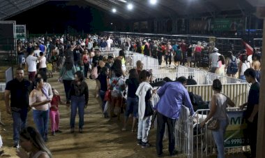 Expoagro 2024 conta com exposição, bem-estar e melhoramento genético de animais de rebanho com práticas sustentáveis