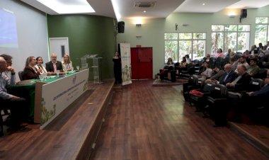 Seminário G-20: Fapeam coordena debate sobre inovação e cooperação internacional para preservação da Amazônia