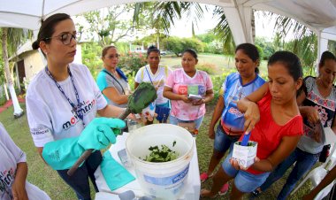 Governo do Amazonas realiza evento com ações sociais e ambientais, em Iranduba