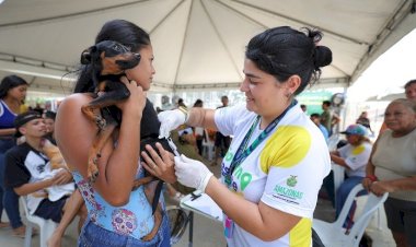 Governo Presente: Sema leva serviços de castração e vacinação para cães e gatos no Monte Horebe