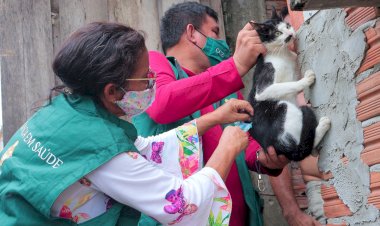 Prefeitura já vacinou 67 mil animais contra a raiva na capital