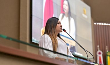 Deputada Joana Darc defende as novas regras para transporte aéreo de animais no Brasil