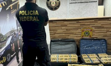 PF resgata 300 pássaros em malas no Aeroporto de Manaus