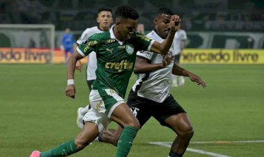 Palmeiras e Botafogo jogam por liderança do Campeonato Brasileiro