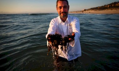 Sabores de Portugal: Chef Pedro Mendes retorna a Manaus com novo menu exclusivo no Belle Époque