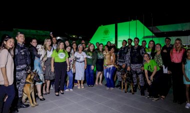 Dezembro Verde: Assembleia Legislativa atua no combate ao abandono de animais