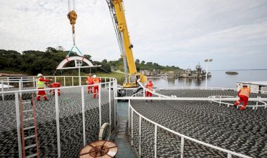 UEA participa de implementação de obra que levará internet de fibra ótica para 12 municípios do Amazonas