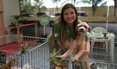 CarnaPet: Comissão de Proteção dos Animais da Aleam promove evento no Shopping Via Norte