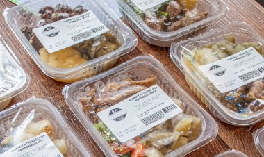 Marmitas fitness ganham espaço no mercado de alimentação saudável