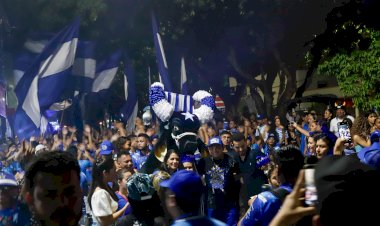 Caprichoso prepara Boi de Rua 2025 com duas concentrações e espetáculo grandioso em Parintins