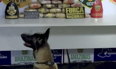 Base Arpão 3: Cadela policial localiza 26 quilos de drogas em banheiro de embarcação