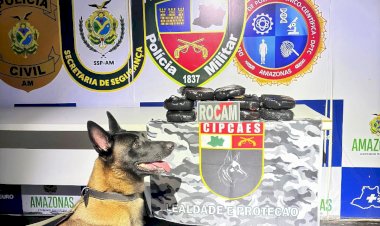 Base Arpão 3: Cadela policial encontra 12 quilos de drogas em bagagem