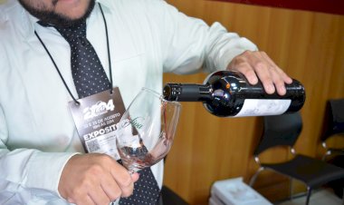 Palestras e workshops sobre vinhos e azeites serão experiências à parte na  FIVA 2025