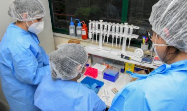 Projeto Futuras Cientistas abre inscrições para imersão na Fiocruz Amazônia voltada para alunas e professoras do Ensino Médio da rede pública