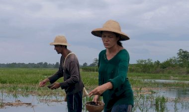 Festival Olhar do Norte 2025:  ‘Dia dos Pais’ e ‘Enquanto O Céu Não Me Espera’ são destaques na noite de abertura